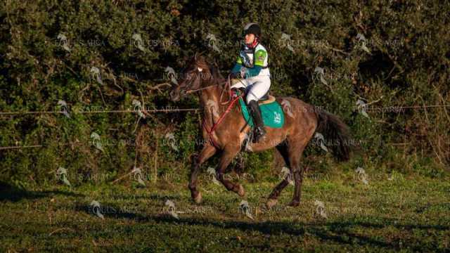 TREC02-06082024-67