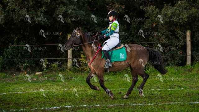 TREC02-06082024-68