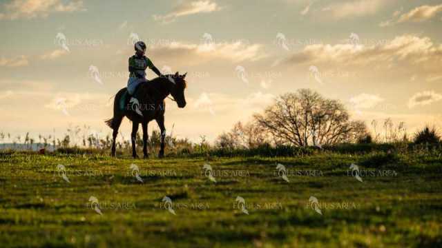 TREC02-06082024-70