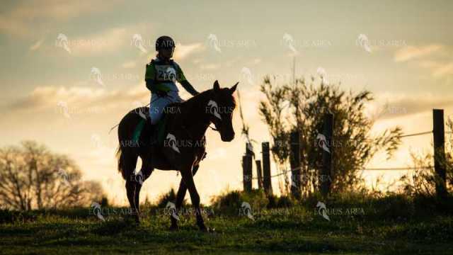TREC02-06082024-71