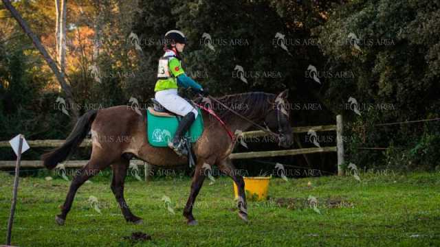 TREC02-06082024-73
