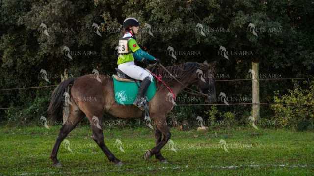 TREC02-06082024-74