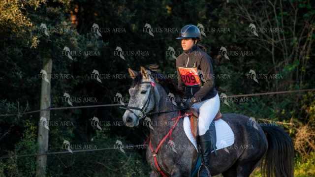 TREC02-06082024-75