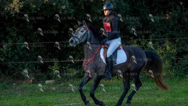 TREC02-06082024-76
