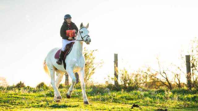 TREC02-06082024-77