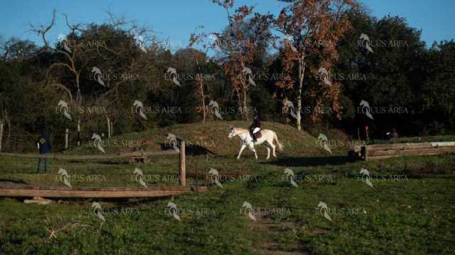 TREC02-06082024-78