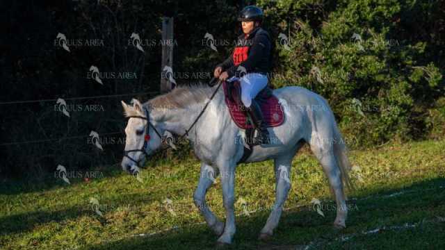 TREC02-06082024-79