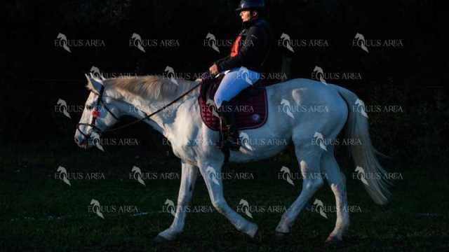 TREC02-06082024-80