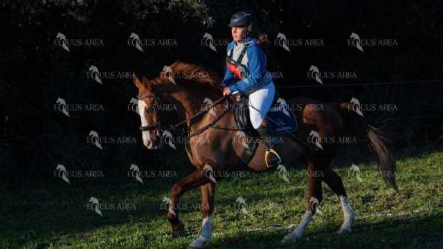 TREC02-06082024-81