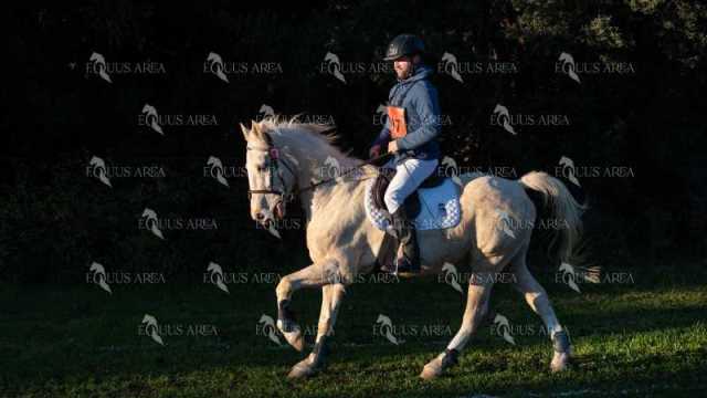 TREC02-06082024-86