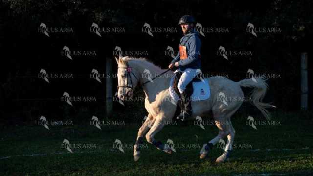 TREC02-06082024-87