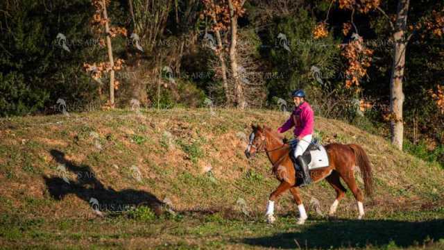 TREC02-06082024-89