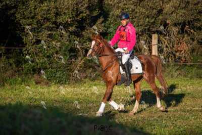 TREC02-06082024-90
