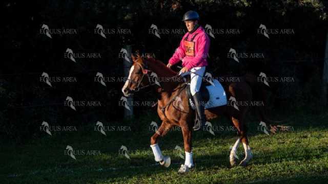 TREC02-06082024-91