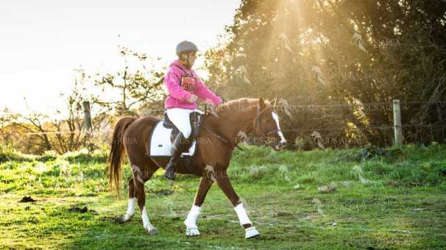 TREC02-06082024-92