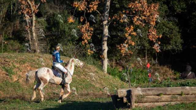 TREC02-06082024-94