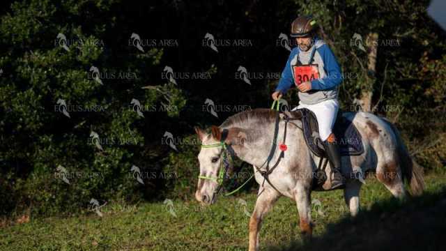 TREC02-06082024-95