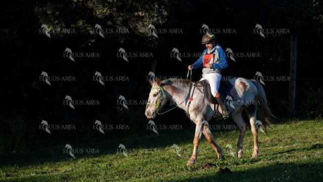 TREC02-06082024-96