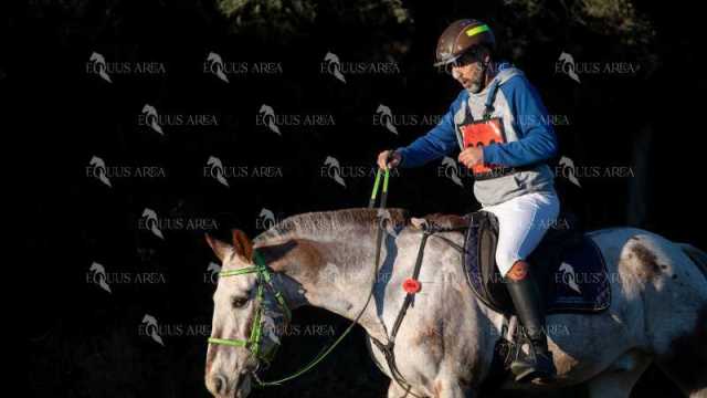 TREC02-06082024-97