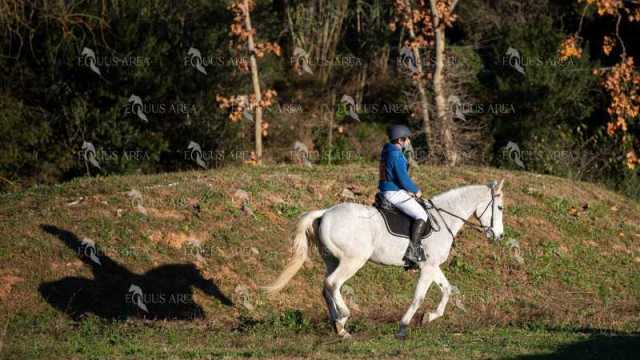 TREC02-06082024-98