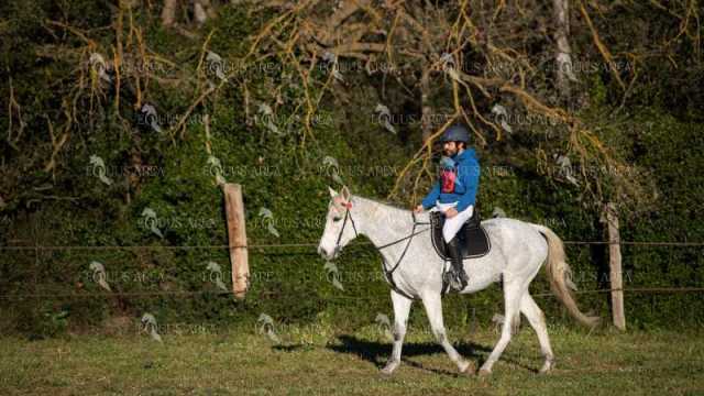TREC02-06082024-99