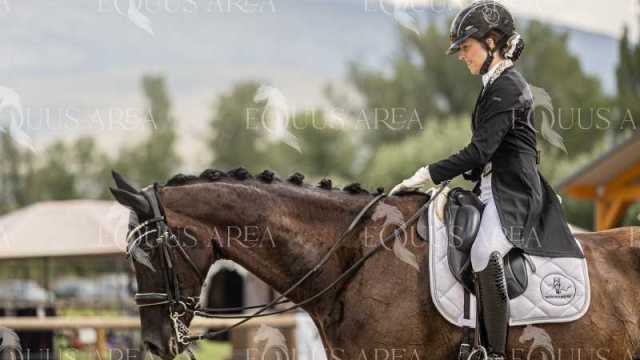 Mariona-Cirre