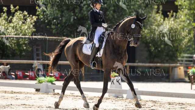 La-Ruta-Domingo-7-104