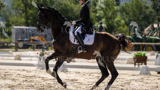 La-Ruta-Domingo-7-107