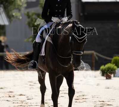 La-Ruta-Domingo-7-110